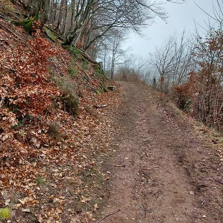 Unterm Rappenfels * Hinterweidenthal