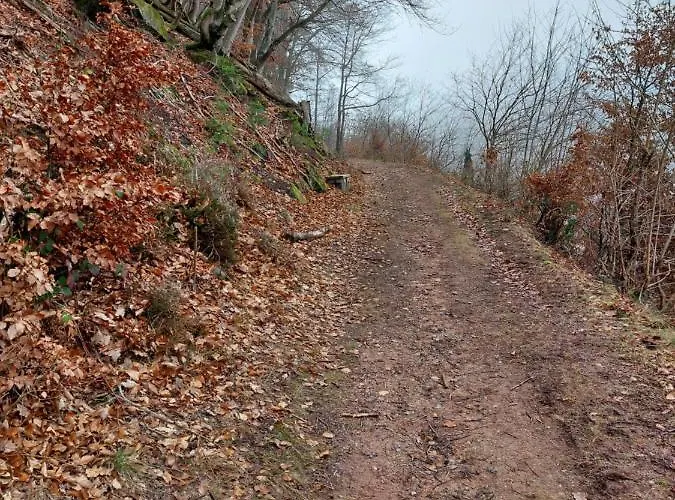 Unterm Rappenfels * Hinterweidenthal