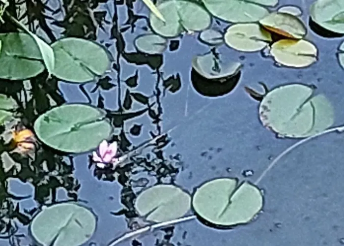 公寓 Unterm Rappenfels Hinterweidenthal